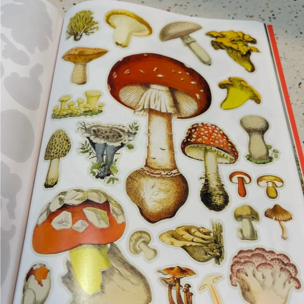 Extraordinary Things to Cut‎ Out and Collage by Maria Rivans – Over 1500 Images